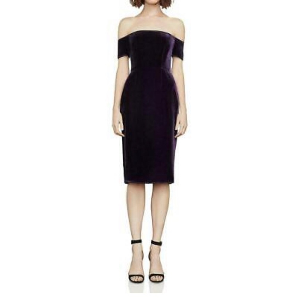 Off shoulder beautiful velvet purple dress.